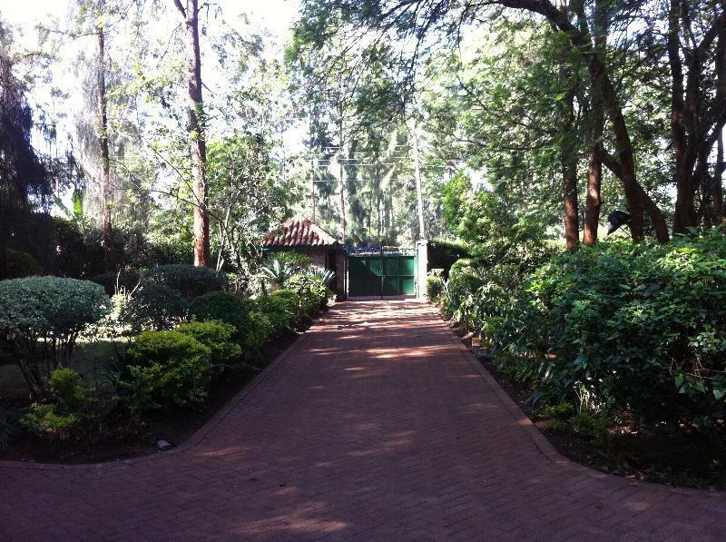 Hostel Milimani Backpackers Nairobi Exteriér fotografie
