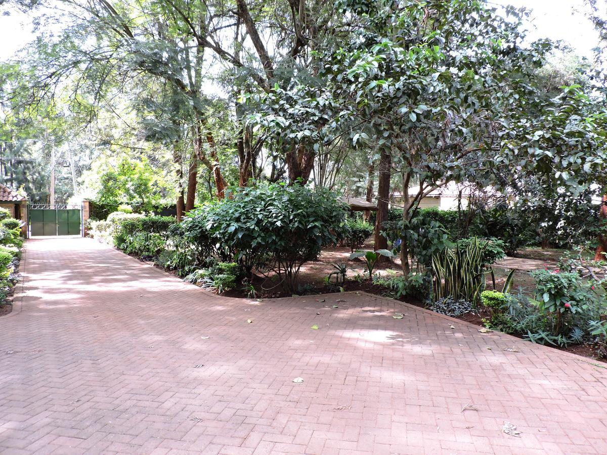Hostel Milimani Backpackers Nairobi Exteriér fotografie