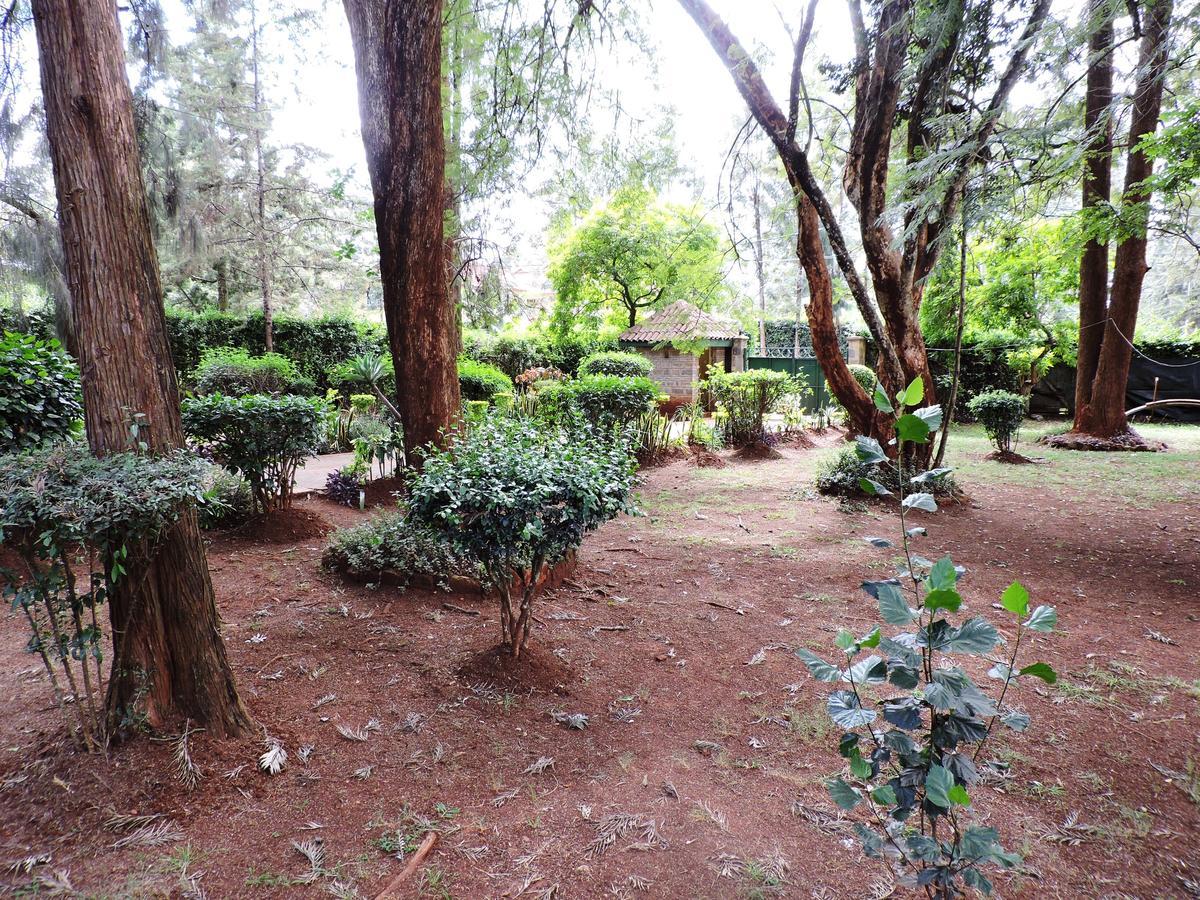 Hostel Milimani Backpackers Nairobi Exteriér fotografie