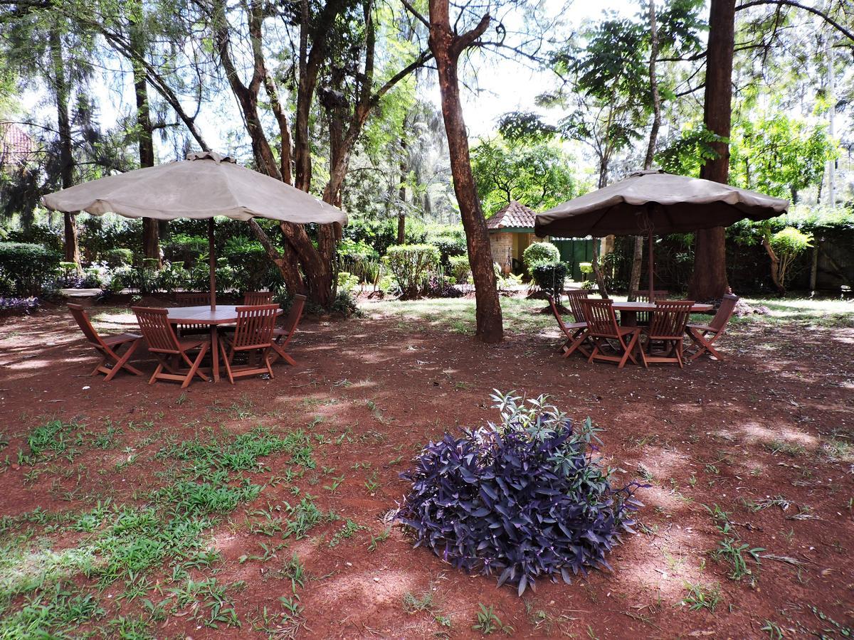Hostel Milimani Backpackers Nairobi Exteriér fotografie
