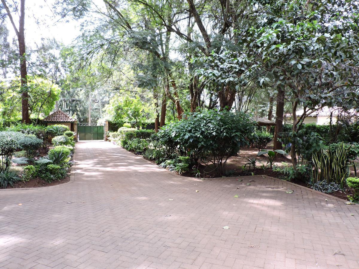 Hostel Milimani Backpackers Nairobi Exteriér fotografie