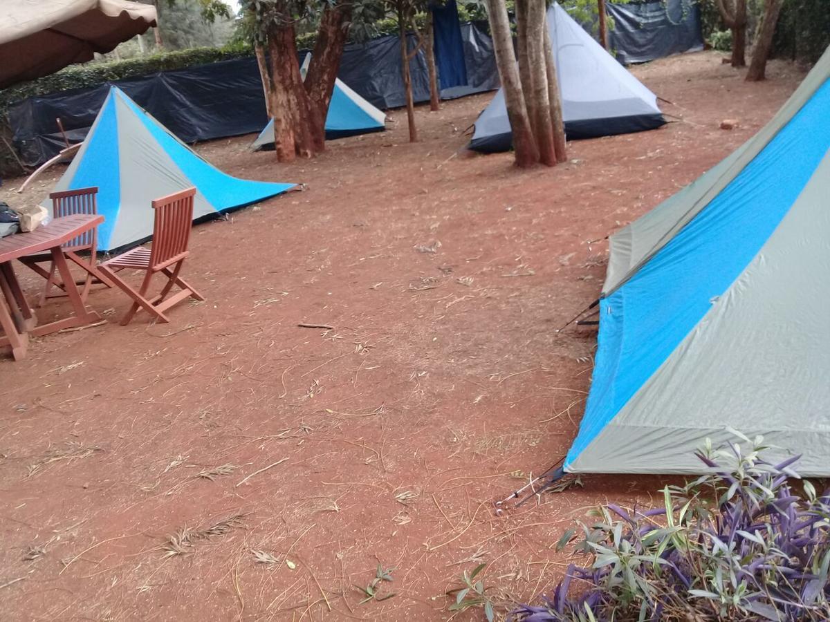 Hostel Milimani Backpackers Nairobi Exteriér fotografie
